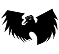 px
