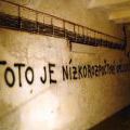 01_NAMES_Trafacka