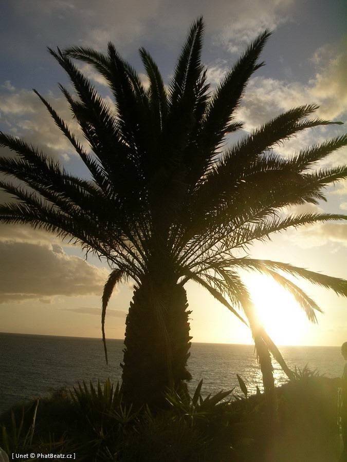 02_Tenerife 02_Tenerife