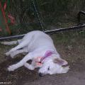 040813_HHK04_048
