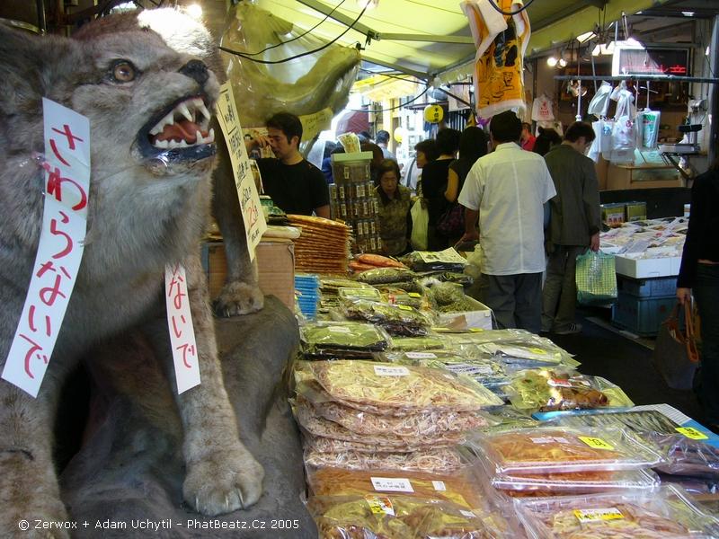 052japan2005