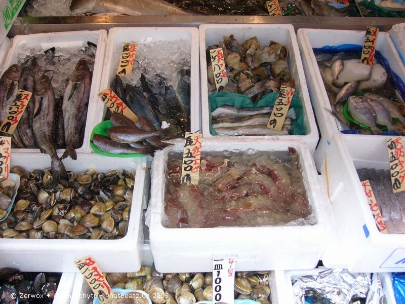 056japan2005
