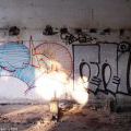 060610_Harfa_61