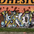 060909_PvsB14