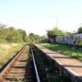 060909_RadicalJam_06