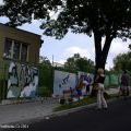 06pertogallchomutov