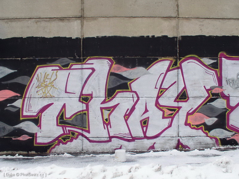 070127_Beranek_11