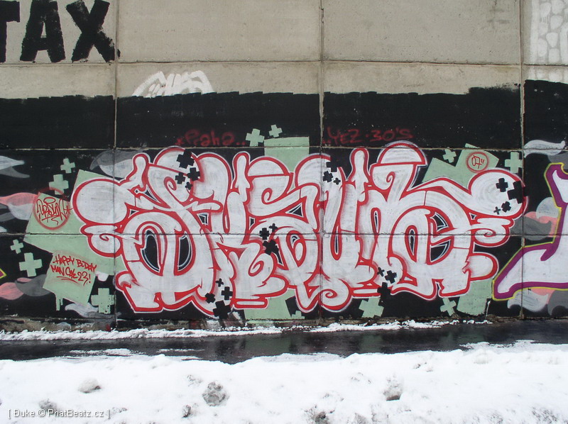 070127_Beranek_13