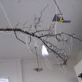 070305_ElektrickaOvce_12