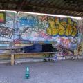 070414_Chrdm_Rdkl9_03