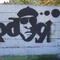 070414_Chrdm_Rdkl9_17
