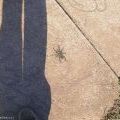 070414_Chrdm_Rdkl9_54