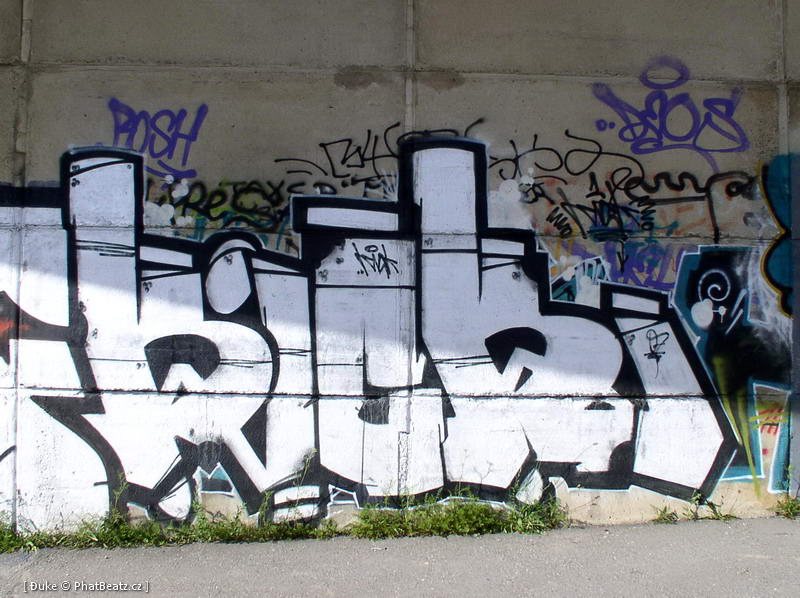 070616_Beranek_04