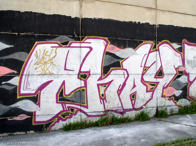 070616_Beranek_25