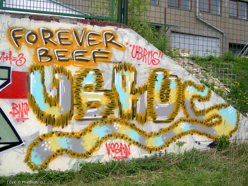 080426_Trebic_49