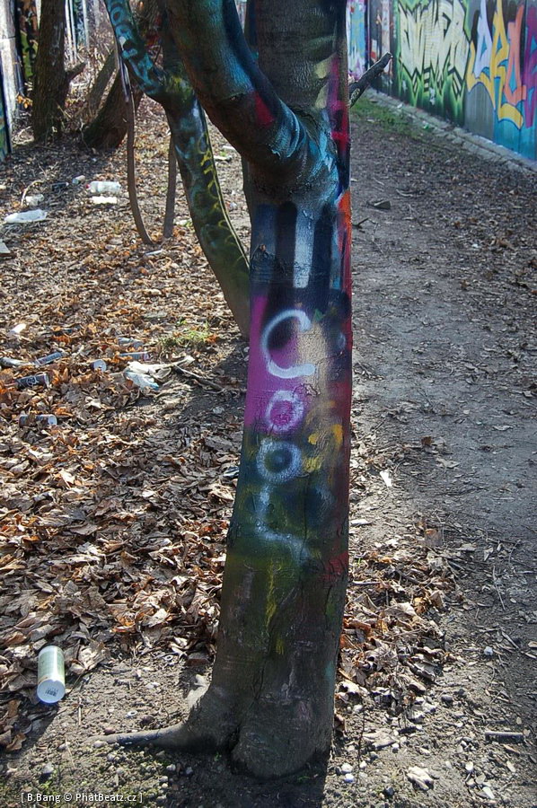 081128_BudejiceJam_04