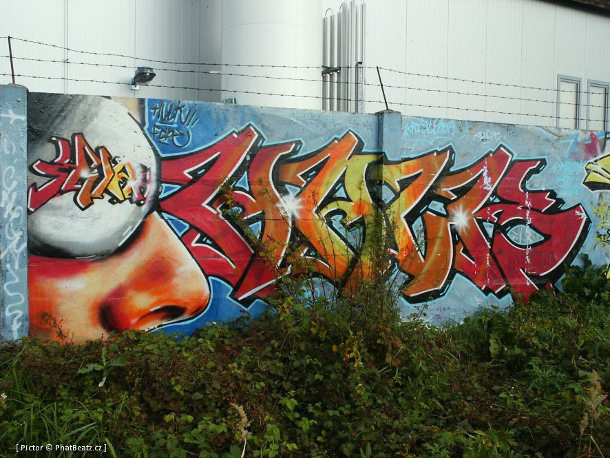 08_Valmez
