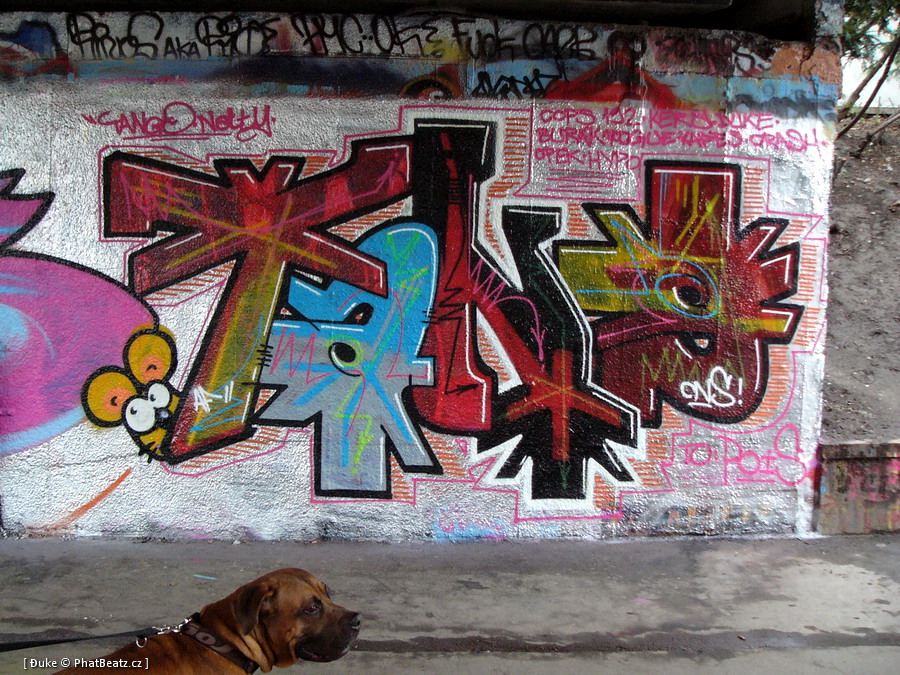 090315_Tesnov_16