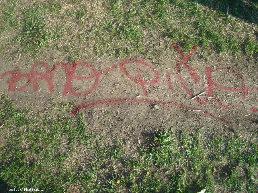 090425_Trebic_030