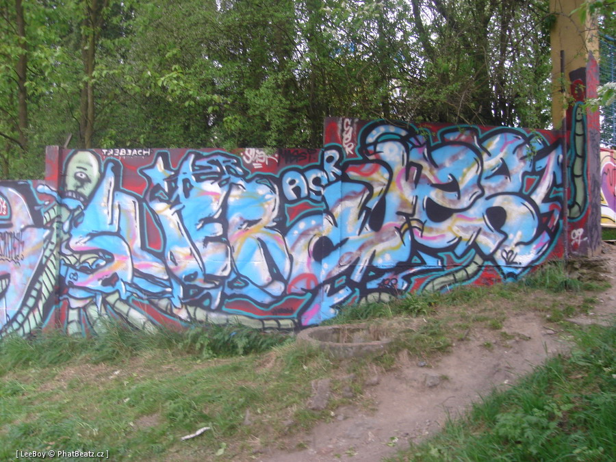 090425_Trebic_036
