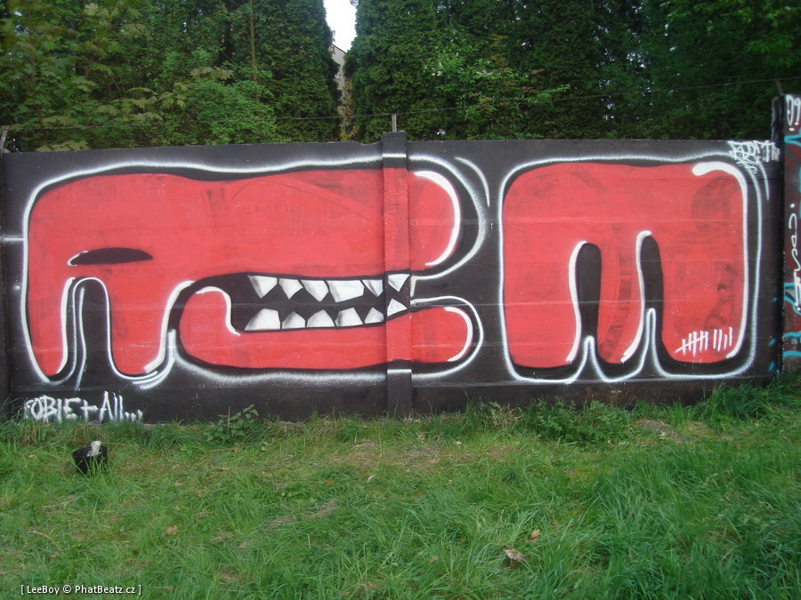 090425_Trebic_038