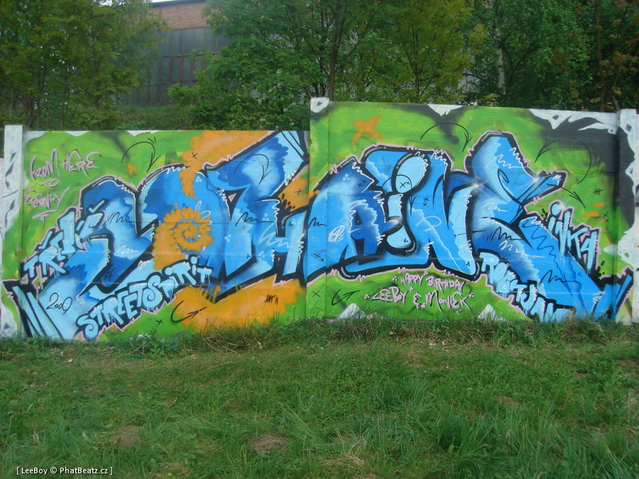 090425_Trebic_070