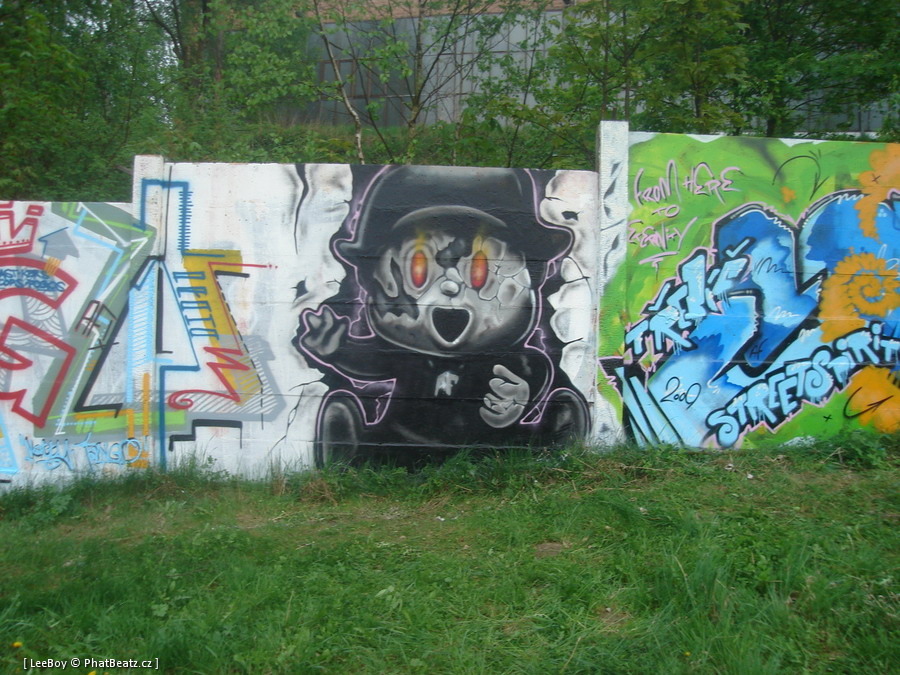 090425_Trebic_071
