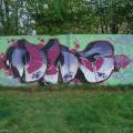 090425_Trebic_100