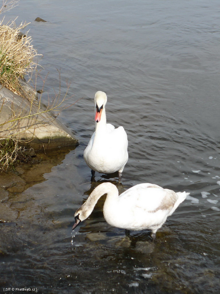 110403_Barrandov_31