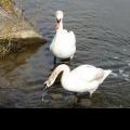 110403_Barrandov_31