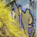 110403_Barrandov_33