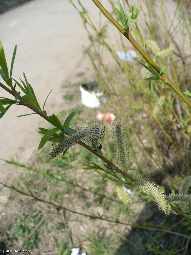 110403_Barrandov_43