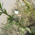 110403_Barrandov_43