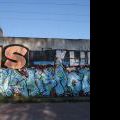 110508_Belarie-Orionka_045