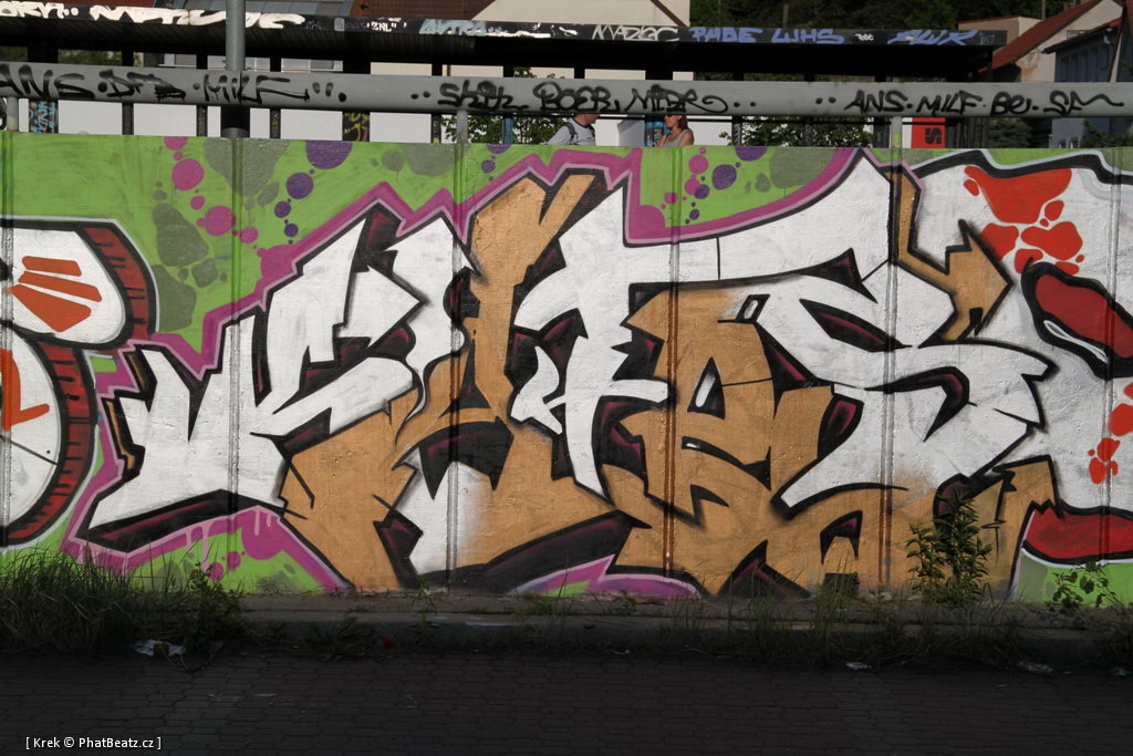 110508_Belarie-Orionka_082