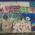 110508_Belarie-Orionka_132