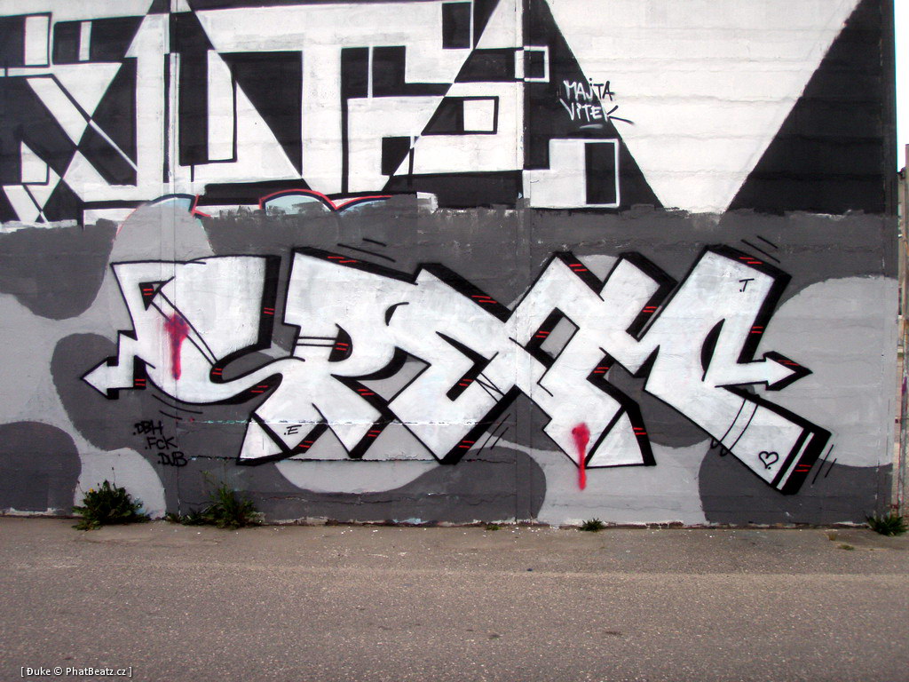 110514_Lysa_nad_Labem_05