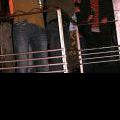 110526_UglyDuckling_45