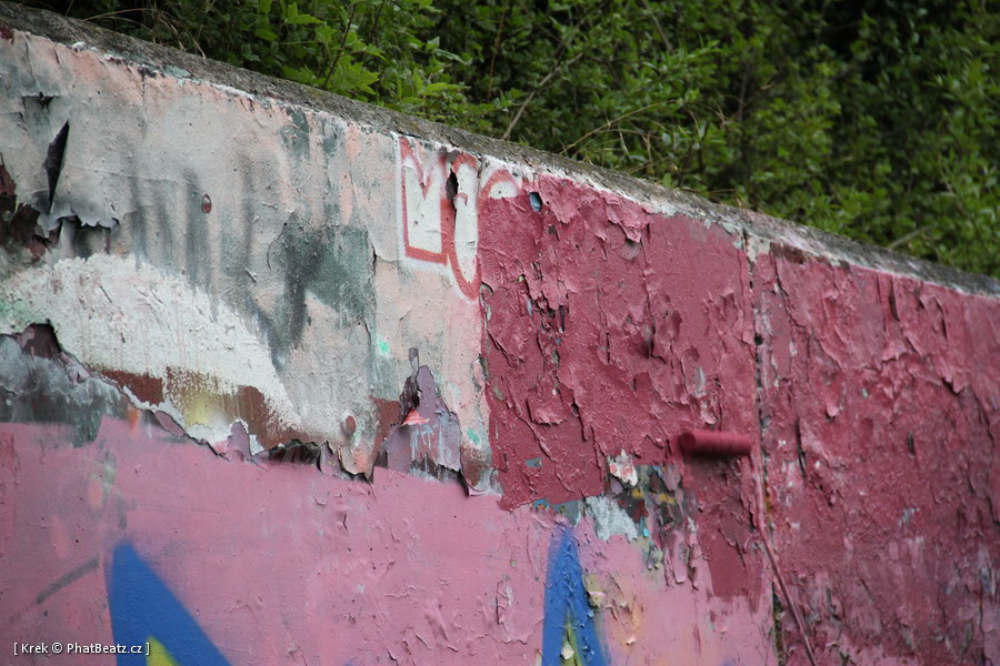 110618_Gneck6_014