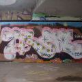 110718_Tesnov_14