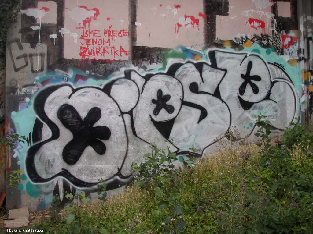 110718_Tesnov_35