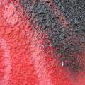 110806_Modrak_23-2