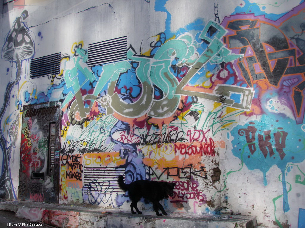 110925_00NIC_TrafRedis_11