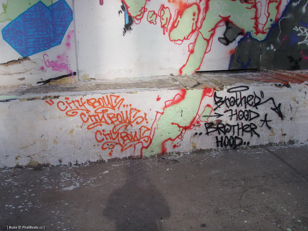 110925_00NIC_TrafRedis_17