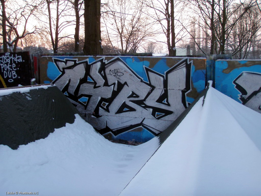 120128_Celakovice_14