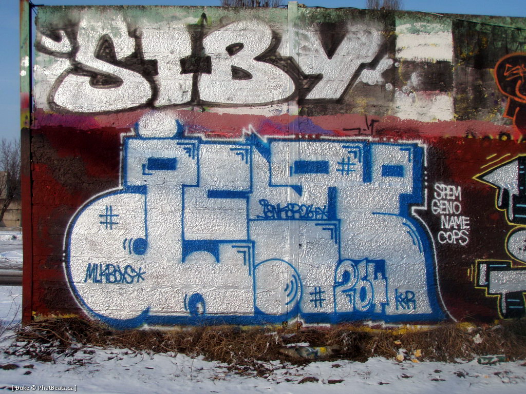 120210_Lysa_13