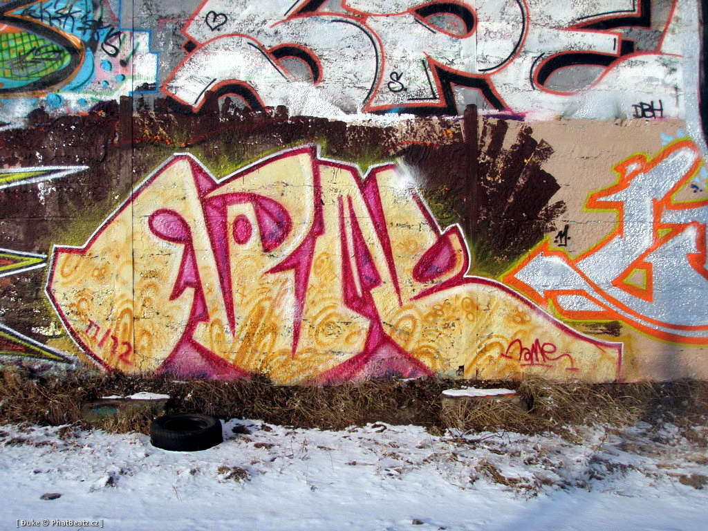 120210_Lysa_16