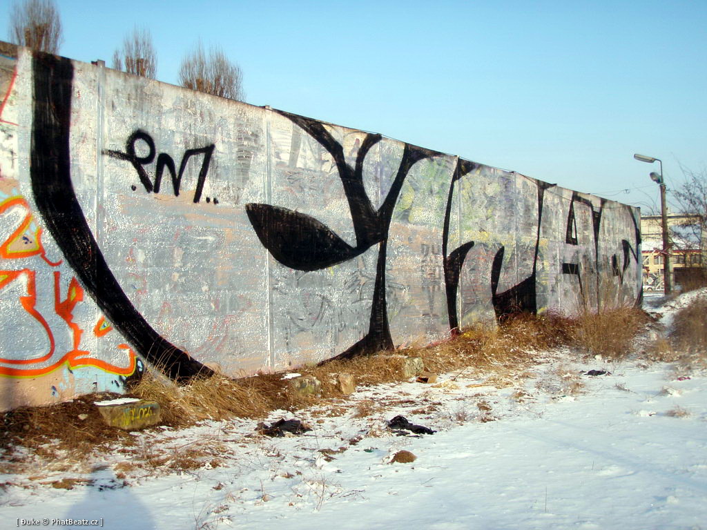 120210_Lysa_17