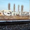 120210_Lysa_18