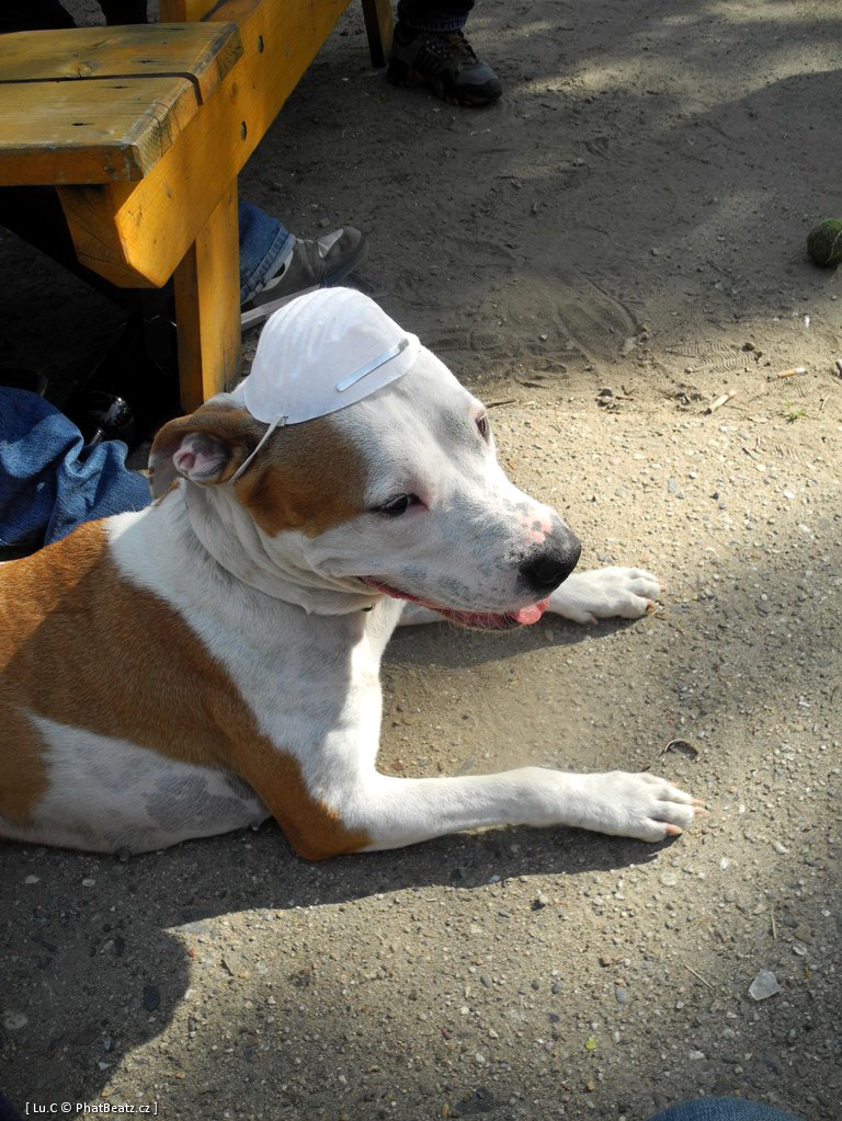 120609_EOTWjam_07